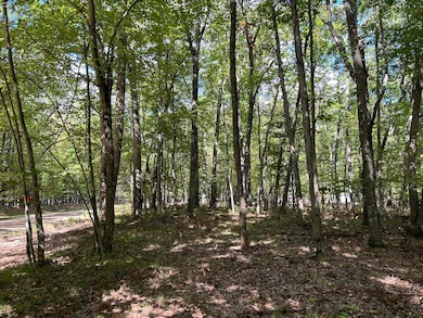 V/L Trail of the Lakes, Lake Township, MI 49304 - photo 2