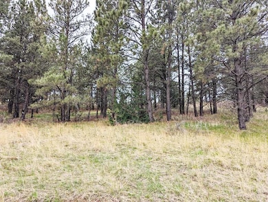 Lot 5 Argyle Ridge Ct, Hot Springs, SD 57747 - photo 7