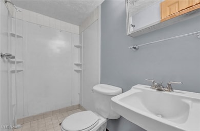 4298 S Main St unit 4302, Akron, OH 44319 - photo 6