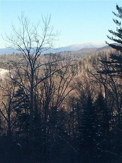 1735 Manns Hill Rd unit 1, Littleton, NH 03561 - photo 3