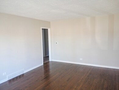 4245 W 78th St, Chicago, IL 60652 - photo 4