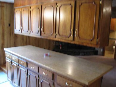 Cabinets Galore Off Sunken Breakfast Rm