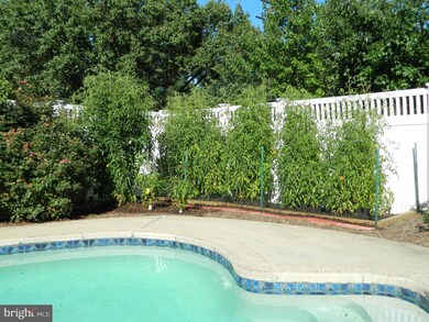 3512 Fullerton St, Beltsville, MD 20705 - photo 5