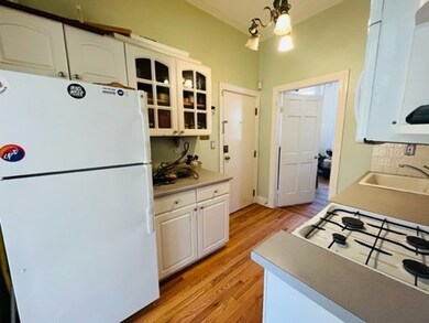 32 E Springfield St unit 2, Boston, MA 02118 - photo 4