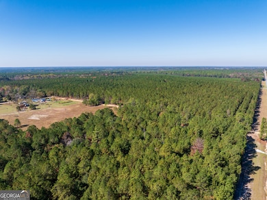3.72 ACRES Florence Gay Rd, Cadwell, GA 31009 - photo 3