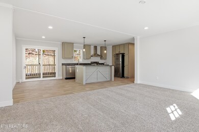 360 Tanasi Dr, Newport, TN 37821 - photo 4