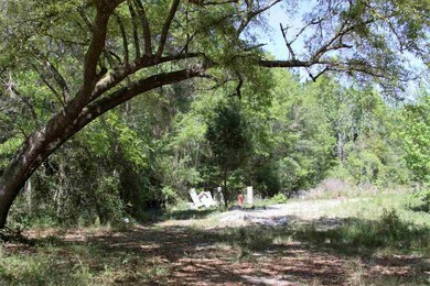 175 Wakulla Beach Rd, Crawfordville, FL 32327 - photo 2