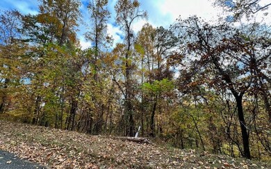 6 Morgan Ridge Ct, Young Harris, GA 30582 - photo 5