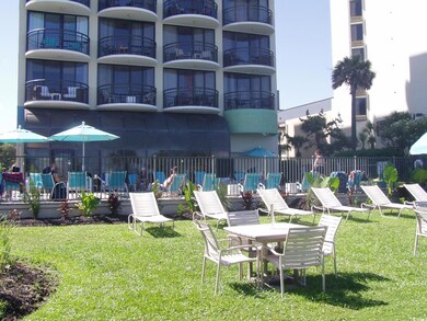 View of grassy yard