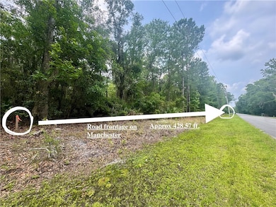 0 Manchester Place Rd, Townsend, GA 31331 - photo 5