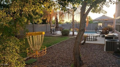 Grassy Backyard Plus Frisbee Golf