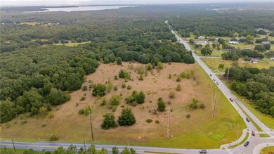 Lot 1 County Road 455, Clermont, FL 34711 - photo 5