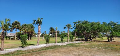 View to the Green #5
