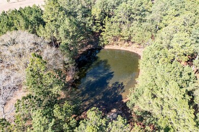 9722 Briarwood Rd, Baconton, GA 31716 - photo 3