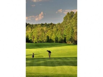 848 Cove Dr unit 48, Grantham, NH 03753 - photo 7