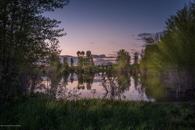 pond