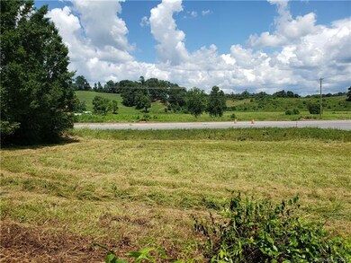 2536 New Leicester Hwy, Leicester, NC 28748 - photo 3