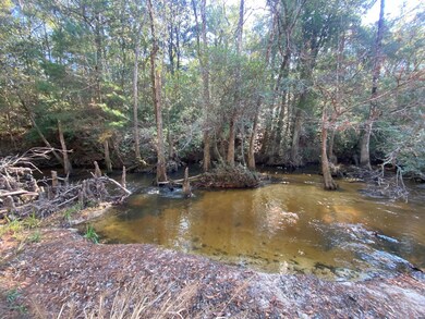 Parcel 1 Sunburst Dr, Crestview, FL 32539 - photo 4