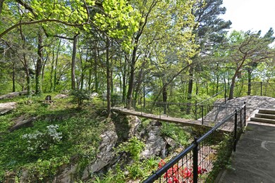 Bridge view 1