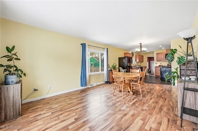 600 Braceville Robinson Rd NW, Newton Falls, OH 44444 - photo 6