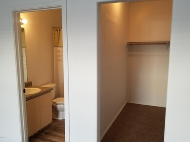 Master Bath Closet