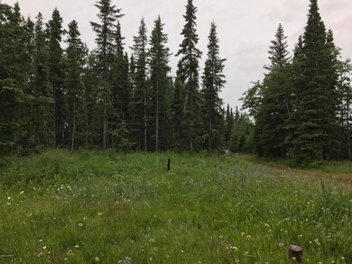 level 3 acre lot