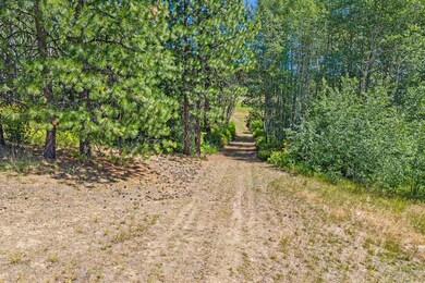 NNA Dry Creek Rd, Chewelah, WA 99109 - photo 4