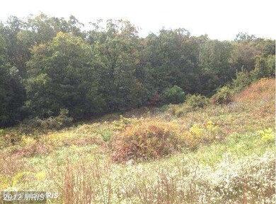 0 Grimaldi Way unit 1004179836, Gerrardstown, WV 25420 - photo 6