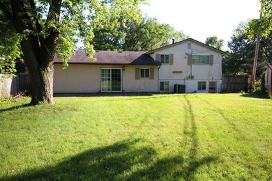 Backyard 3