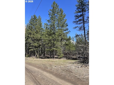 4 Thompson Trail, Goldendale, WA 98620 - photo 5