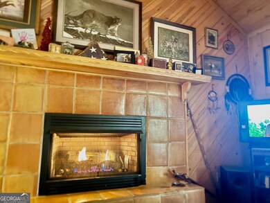 156 Peter Knob Rd, Blue Ridge, GA 30513 - photo 3