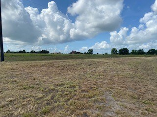 10351 Bushnell Rd, Needville, TX 77461 - photo 6