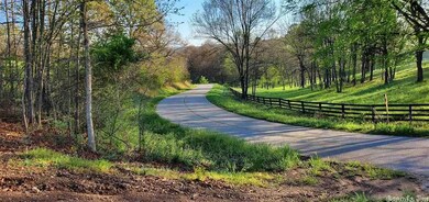 42 acres Wolf Springs Rd N, Harrison, AR 72601 - photo 4