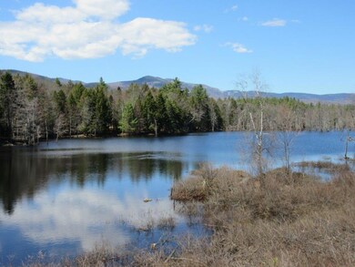 0 Fernalds Hill unit 1375128, Stow, ME 04037 - photo 3