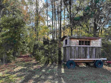 TBD Terry Rd, Andrews, SC 29510 - photo 5