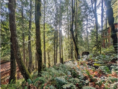 00971354 E Rolling Green Ct, Mount Hood Village, OR 97067 - photo 4