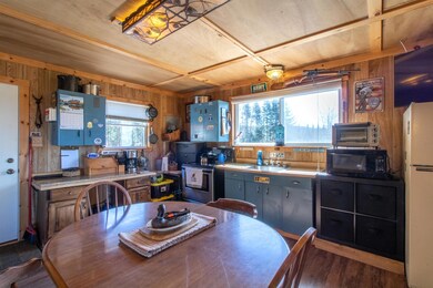 195 Curtis Rd, Morgan, VT 05853 - photo 7