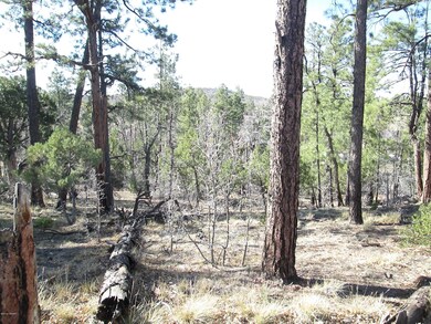 6210 Wildcat Trail, Show Low, AZ 85901 - photo 4