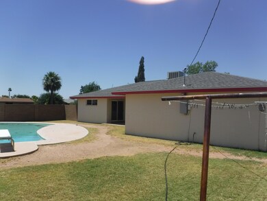 Back yard