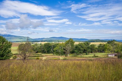 594 Hewitt Rd, Swoope, VA 24479 - photo 4