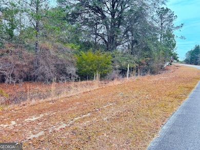 0 Jw Miller Rd unit 10655806, Reynolds, GA 31076 - photo 6