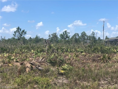 313 Wells Ave, Lehigh Acres, FL 33936 - photo 2