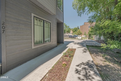 209 W Thayer Ave unit C, Bismarck, ND 58501 - photo 4