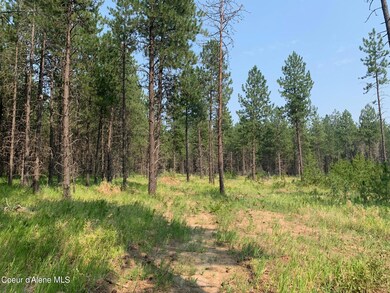 32606 N Sheep Springs Rd, Athol, ID 83801 - photo 5