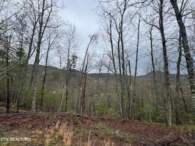 0 Overhill Way, Sevierville, TN 37876 - photo 3