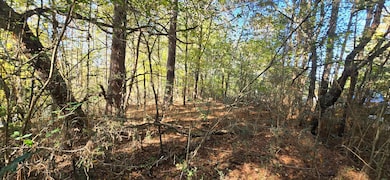 27 Foster, Lafayette, GA 30728 - photo 5