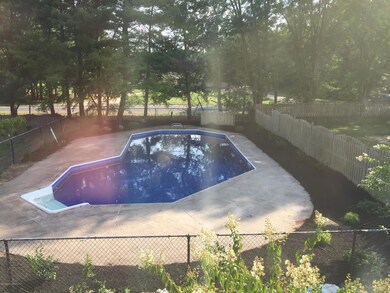 pool locust