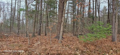 2.17 Acres N Branch Dr unit Woodview Pass VL, Beaverton, MI 48612 - photo 2