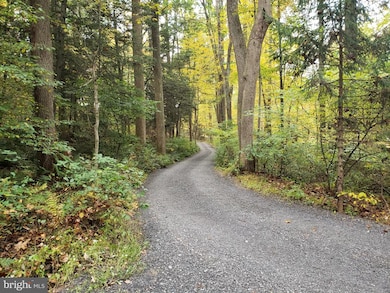 39 Bear Creek, New Ringgold, PA 17960 - photo 4