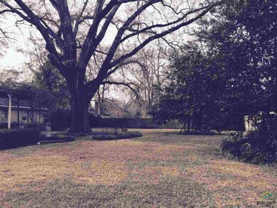 821 Barclay Dr, Tyler, TX 75703 - photo 7